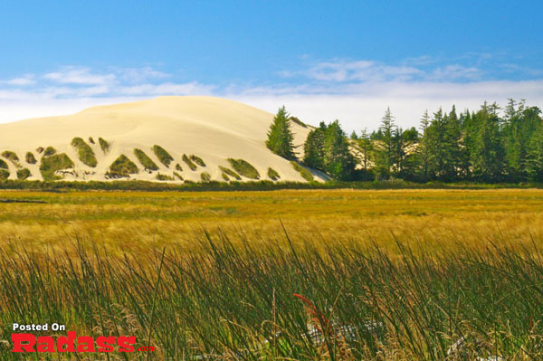 A secluded sand dune nestled in the midst of a serene grassy field, offering an escape from civilization.