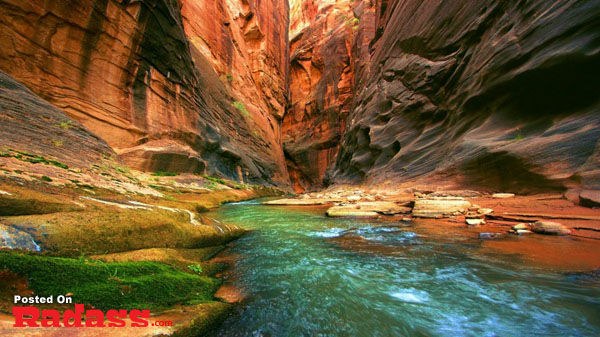 Escape From Civilization in the picturesque narrows of Zion National Park, Utah.