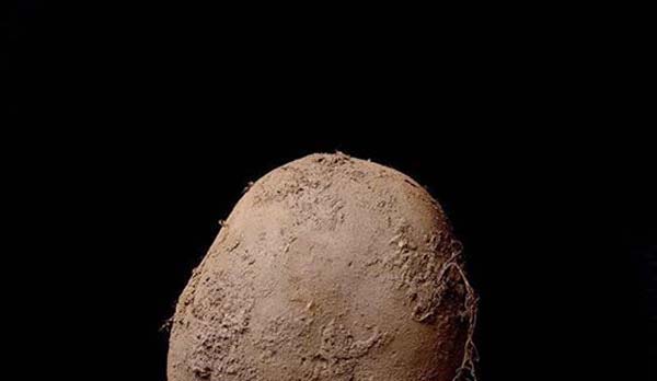 An image of a potato on a black background that sold for a million dollars.