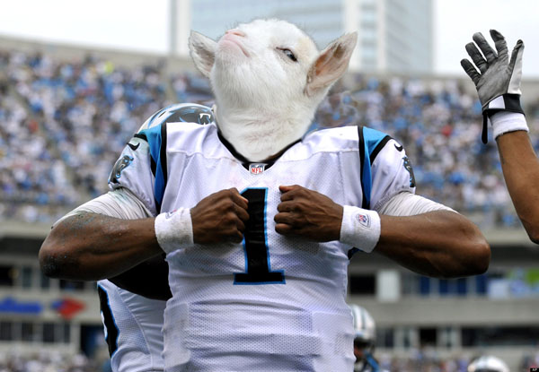 A Carolina Panthers football player dressed as a goat gets his day in Photoshop.