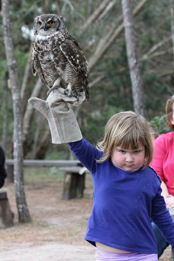 A little girl holds a photoshopped owl.