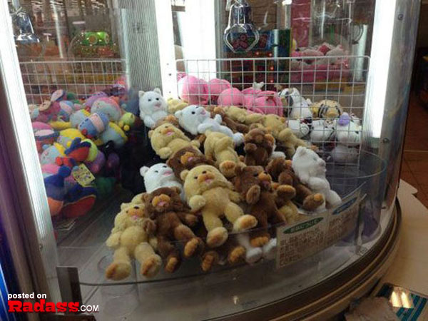 A vending machine in Japan showcasing WTF teddy bears.