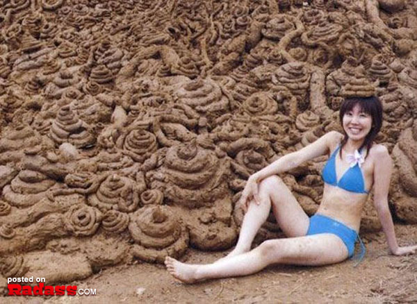A woman in a bikini sitting on a pile of sand in one of the WTF Japan pictures.