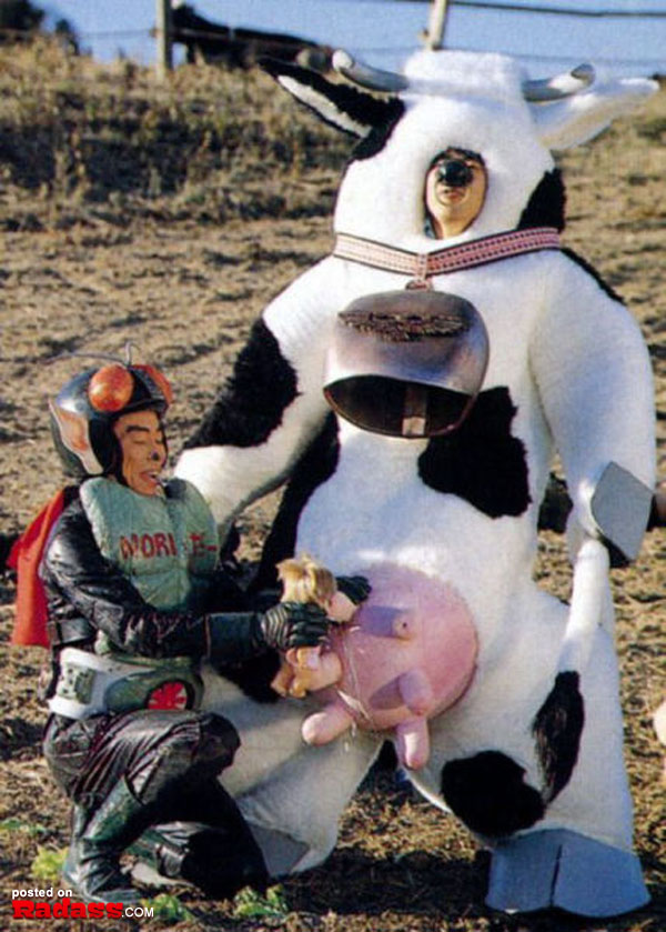 A man, cow suit, petting cow.