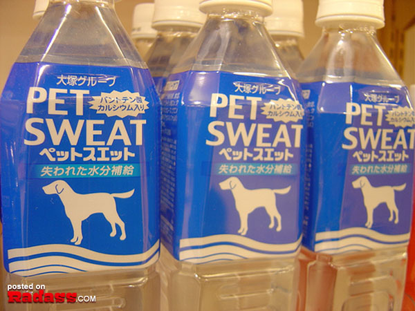 Four bottles of WTF pet sweat water.