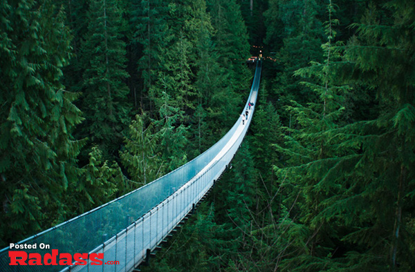 A person is crossing a glass bridge in a forest, checking off their bucket list.