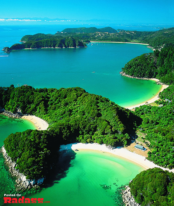 An aerial view of a beach with lush green trees and crystal-clear water.