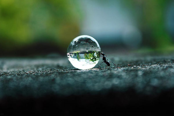 A small water drop in a collection of 40 cool pics to brighten your day.