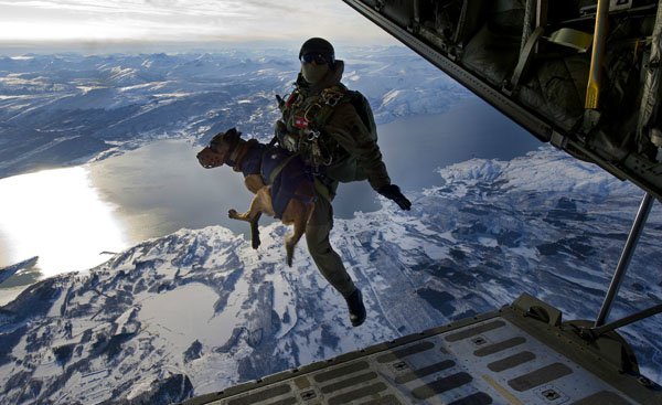A man jumps out of a plane with a cool dog, brightening your day.