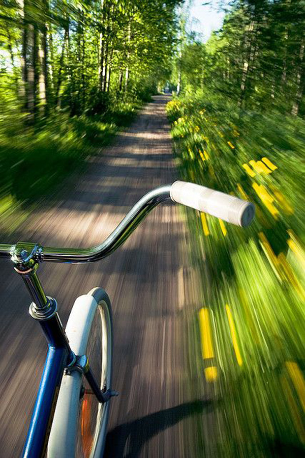 40 cool pics of a bicycle riding down a road in the woods, just to make your day!