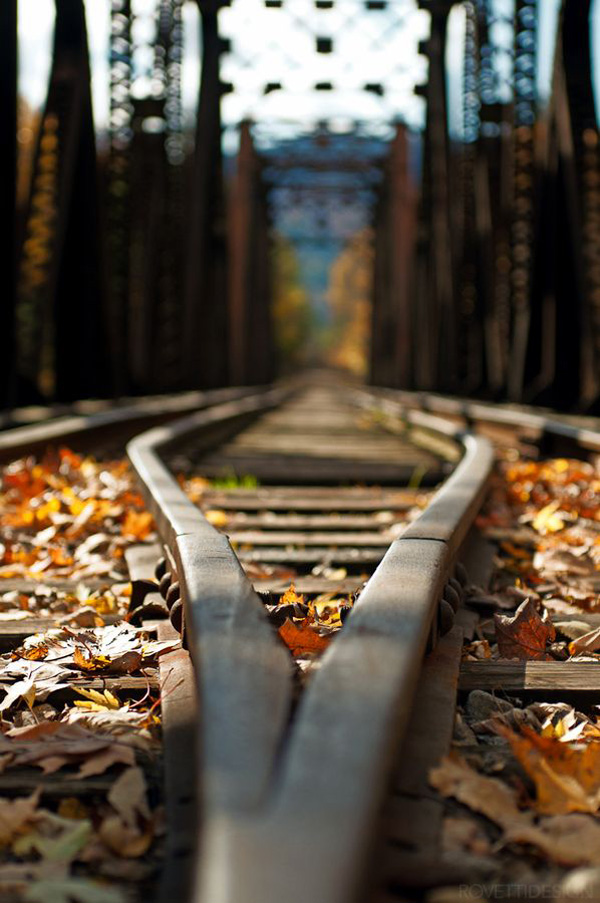 40 Cool Pics - A railroad track with leaves on it just to make your day.