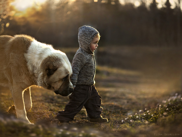 A little boy is walking cheerfully next to a large dog, offering plenty of cool pics to brighten your Saturday.
