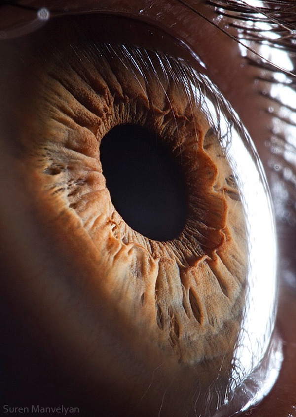 Close-up of an eyeball - 40 Cool Pics Just To Make Your Day.