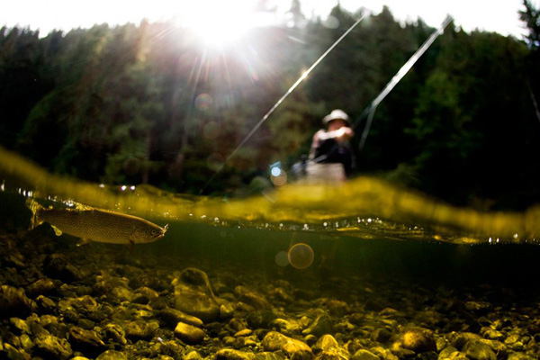 A man is fishing in the water with a fly rod, capturing 40 Cool Pics Just To Make Your Day.
