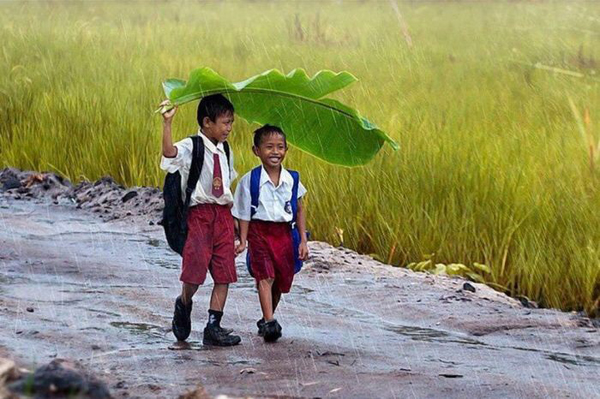 Two boys walking down a muddy road under a large leaf, capturing plenty of cool pics to brighten your Saturday.