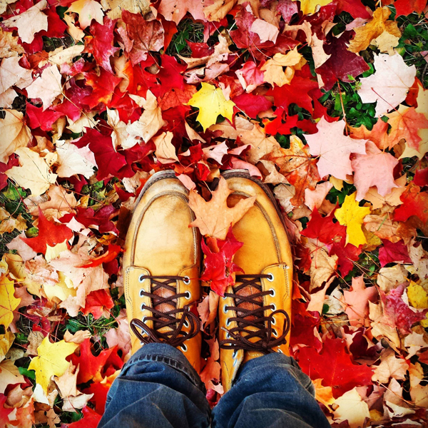 A person's feet standing on a pile of autumn leaves in plenty of cool pics to brighten your Saturday.