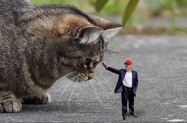 A man in a red hat is standing next to a 'Tiny Trump'.