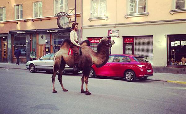 A man riding a camel down the street, proving that hipsters have gone too far.