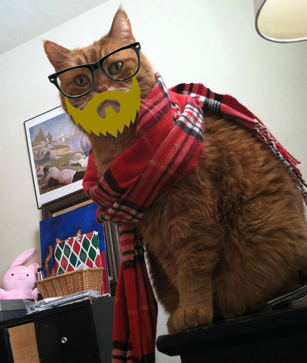 A hipster cat wearing a scarf.