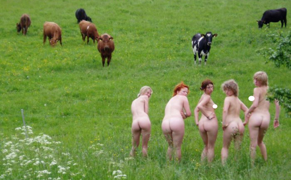 A group of women standing in a field with cows, embracing their natural beauty and confidence.