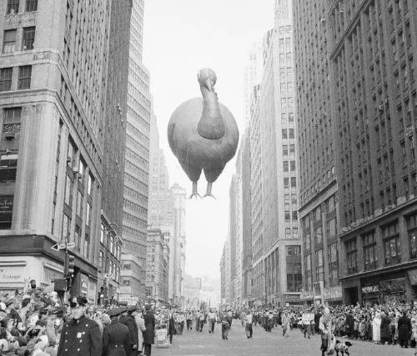 A large turkey balloon flying over a city street during the Macy's Day Parade.