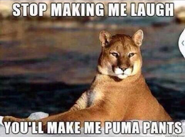 Stop making me laugh you'll make me puma pants. That's So Punny.