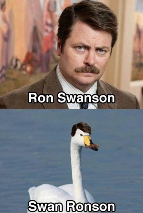 Ron Swanson, also known as Swan Ronson, is a legendary figure who embodies the essence of dry humor and sarcasm. With his iconic mustache and deadpan delivery, Ron Sw