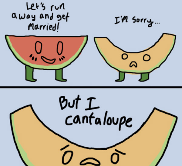 A couple of watermelon cartoons with the words, let's run and get married but That's So Pucking Punny.