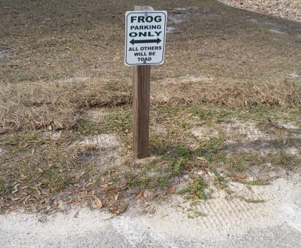 A sign that says frog only, with a touch of pun humor.