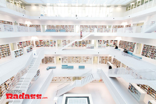 A stunning library showcasing a vast collection of books and captivating architecture.
