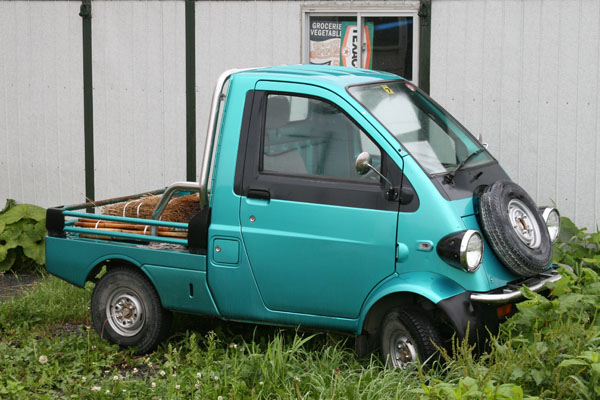 A small truck parked in a grassy area.