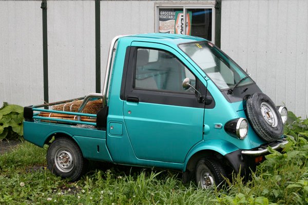 A small truck parked in a grassy area.