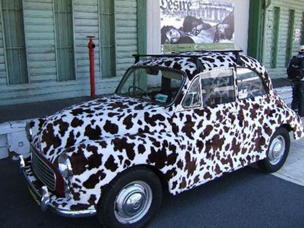 A cow-printed car is parked in front of a building, just cool as hell.