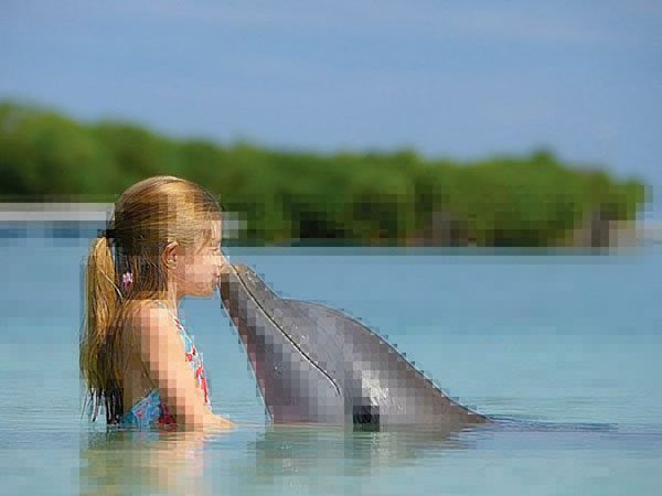 40 Cool Pics From Around The Web, featuring a girl kissing a dolphin in the water.