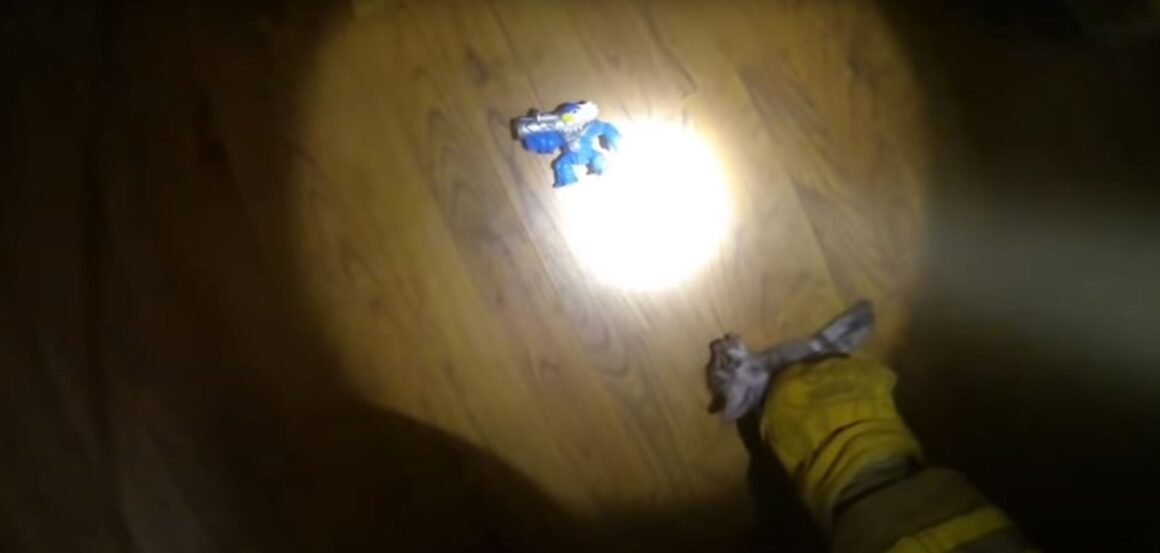 fireman saves kitten