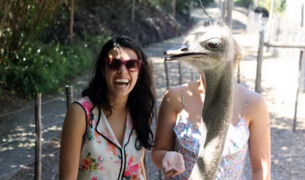 Two women standing next to an ostrich at a zoo, pondering 