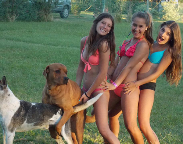 Three girls in bikinis posing with a dog, I Would Date You But...
