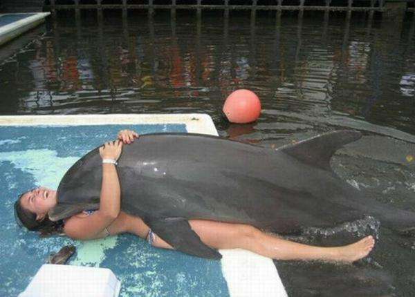 A woman in a bikini gracefully lounging atop a dolphin.