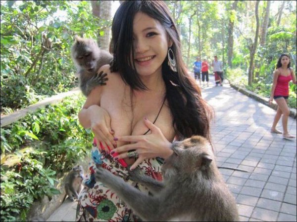 A woman is cuddling a monkey in her arms.