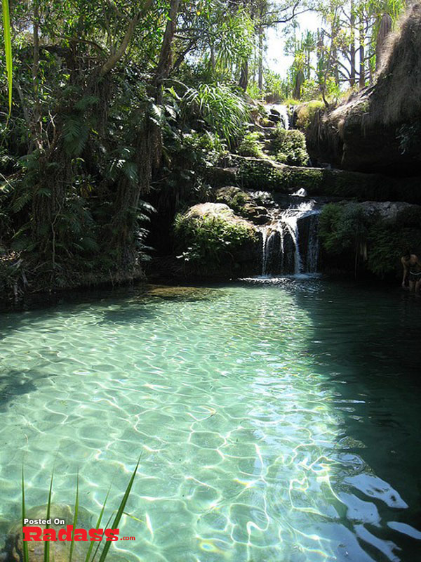 A marvelous jungle with a small waterfall where one can't help but think, what a wonderful world.