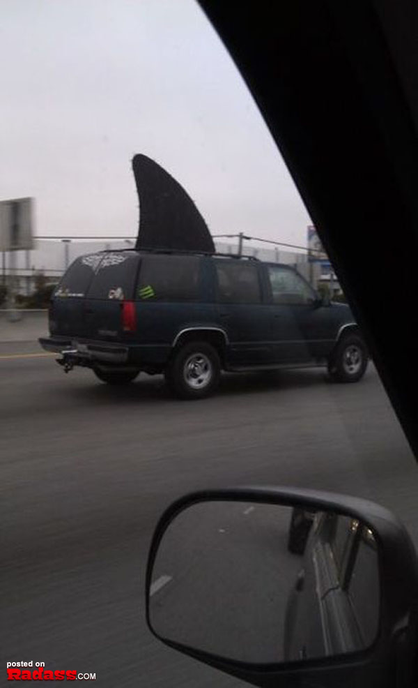 A car with a shark tail on it driving down the road, embodying creativity and uniqueness.
