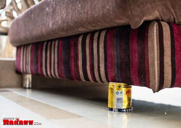 A can is sitting on the floor under a couch.