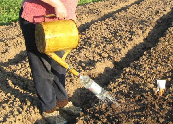 A person using a watering can in a field.