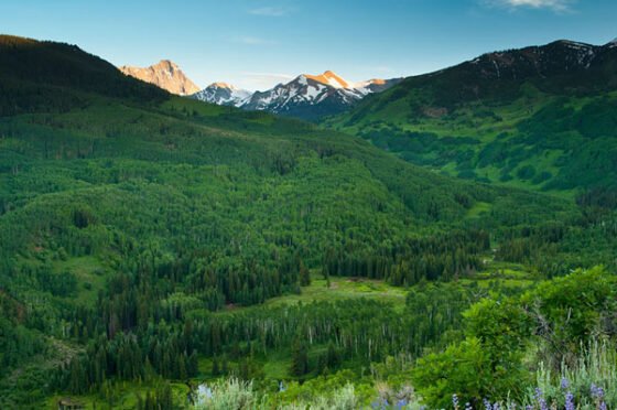 Before-And-After Photos of Autumn Leaves Changing Color in a valley with mountains in the background (23 Pics)