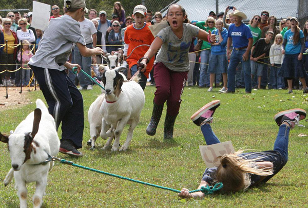 A girl laying on the ground with a goat, smiling.
