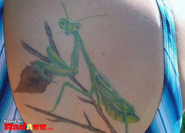 A permanent tattoo featuring a praying mantis design adorns a woman's back.