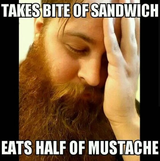 In honor of the coolness that a beard is, let’s take a look at some of the funniest beard memes.