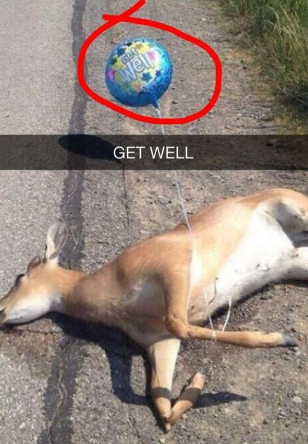 A hilarious Snapchat capturing a deer with a balloon.