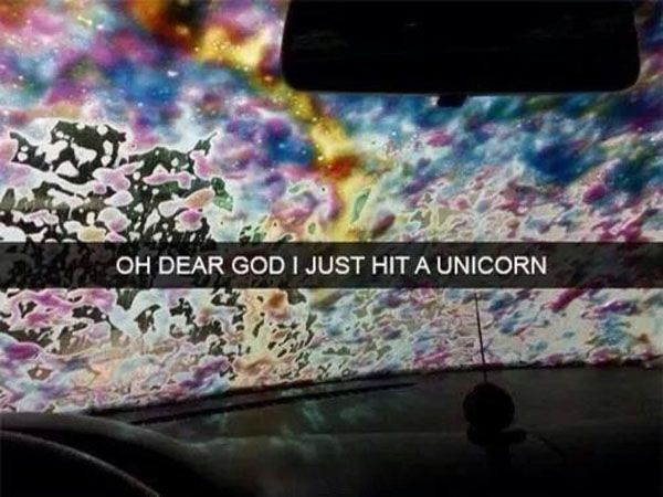 Funny Snapchat- I just hit a unicorn.