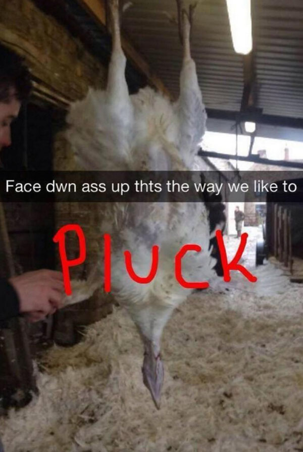 A man captures a hilarious Snapchat of himself hanging a turkey in a barn.